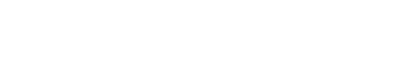 dynamicweb logo partner